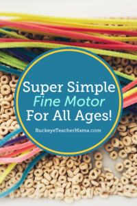 Pipecleaners and Cheerios- Fine Motor Activity