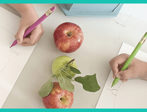 Apple Investigation – Exploring Apples Through Art