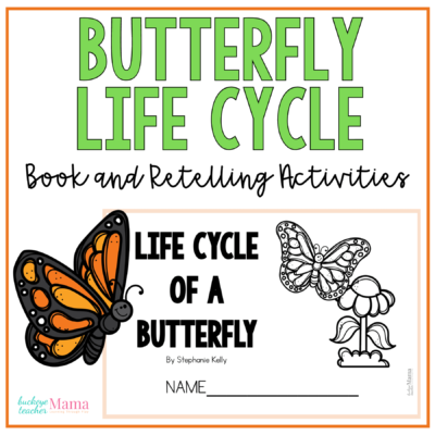 Butterfly Life Cycle