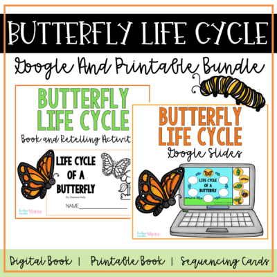 Butterfly Life Cycle