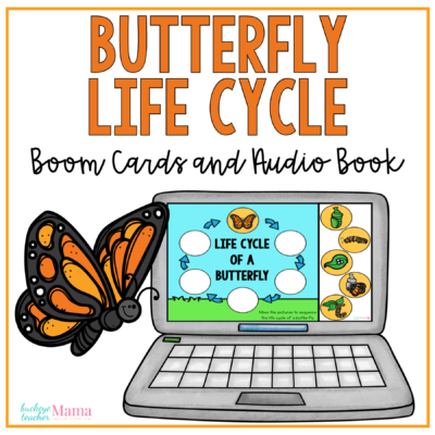 Butterfly Life Cycle